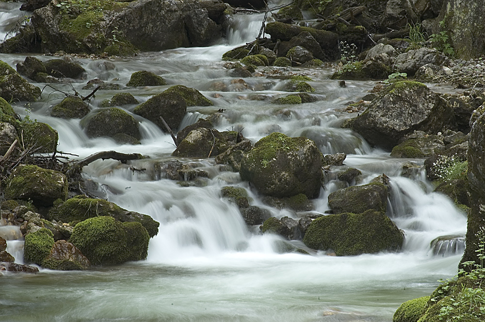 Neulich im Gesäuse - Thema Wasser