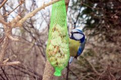 Neulich im Großen Garten