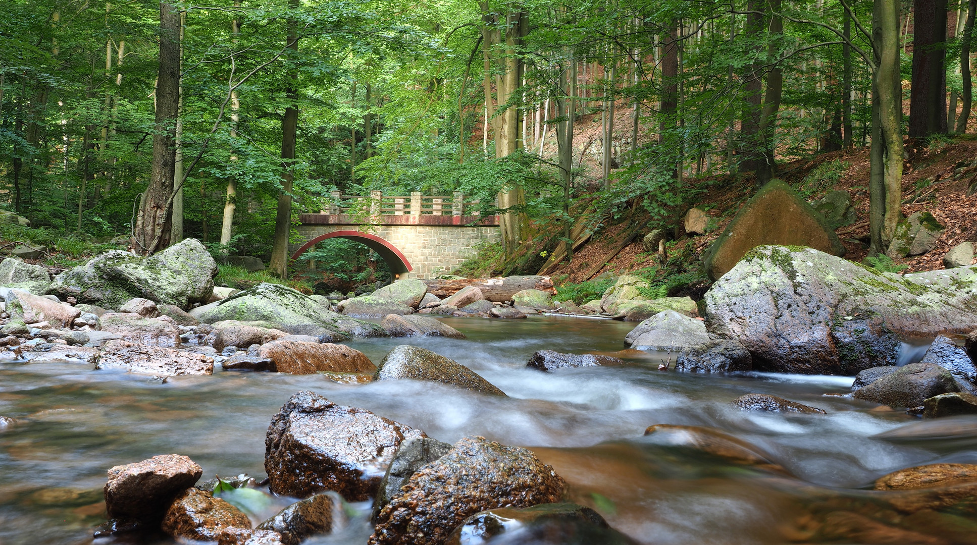 Neulich im Harz.