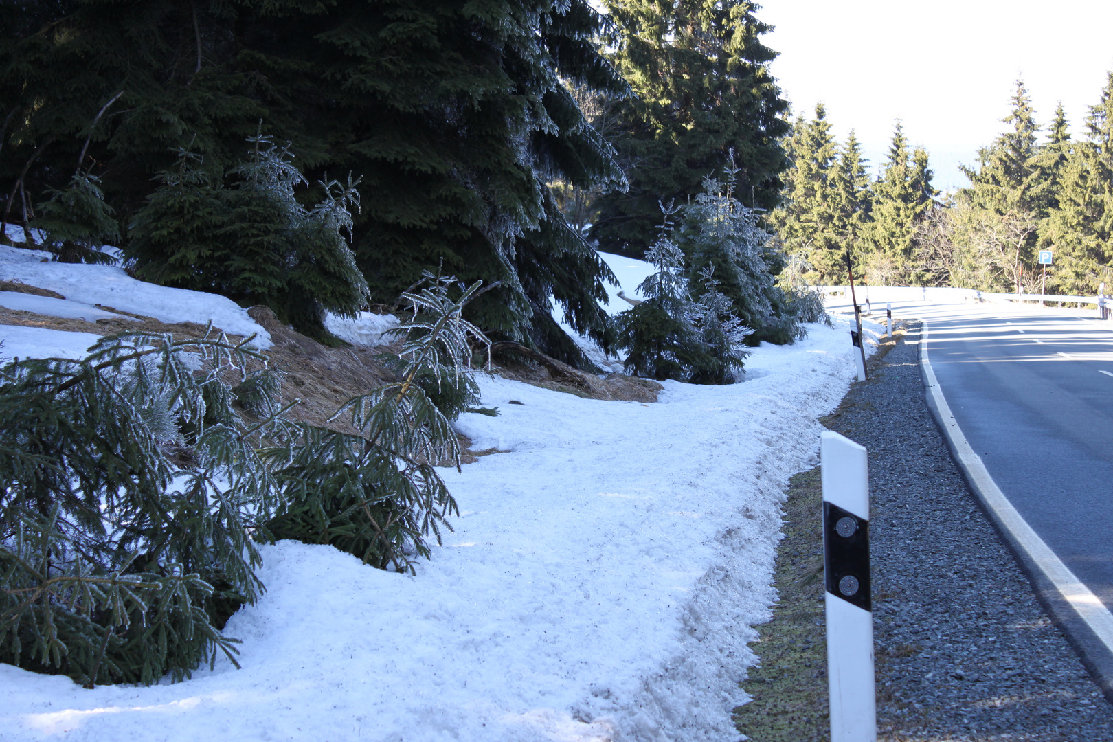 Neulich im Harz (nochn bissken Schnee)