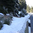 Neulich im Harz (nochn bissken Schnee)