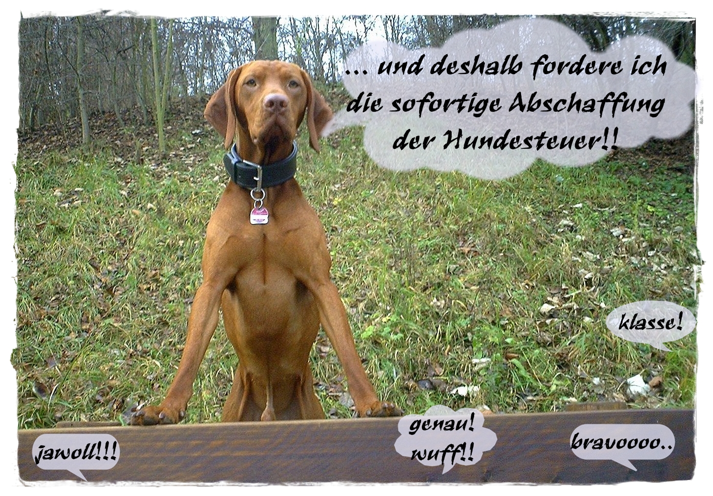 NEULICH IM HUNDESTAG!!