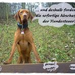 NEULICH IM HUNDESTAG!!