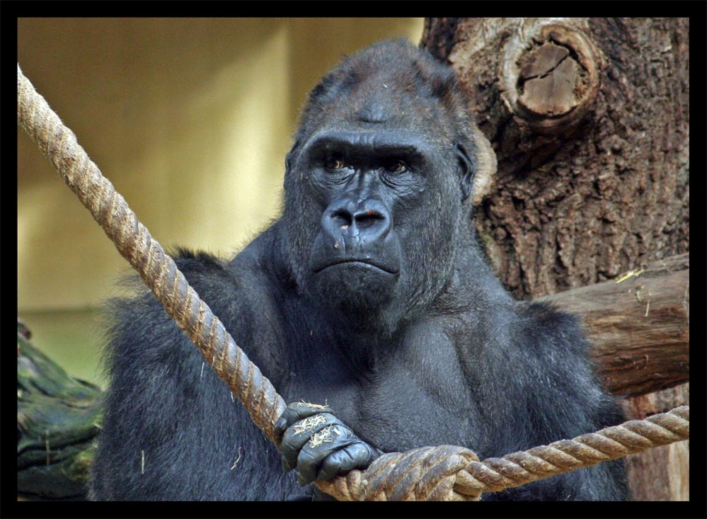 Neulich im Kölner Zoo..