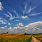 Neulich im Kraichgau