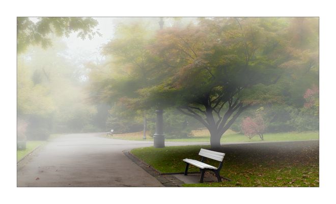 Neulich im Kurpark