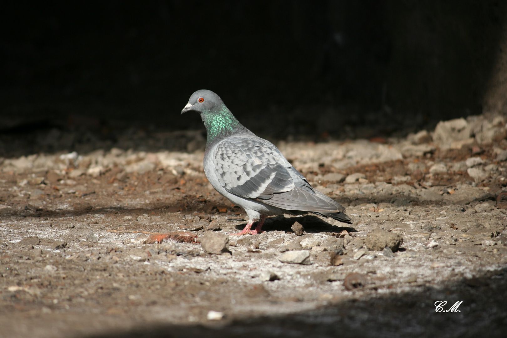 Neulich im Landschaftspark