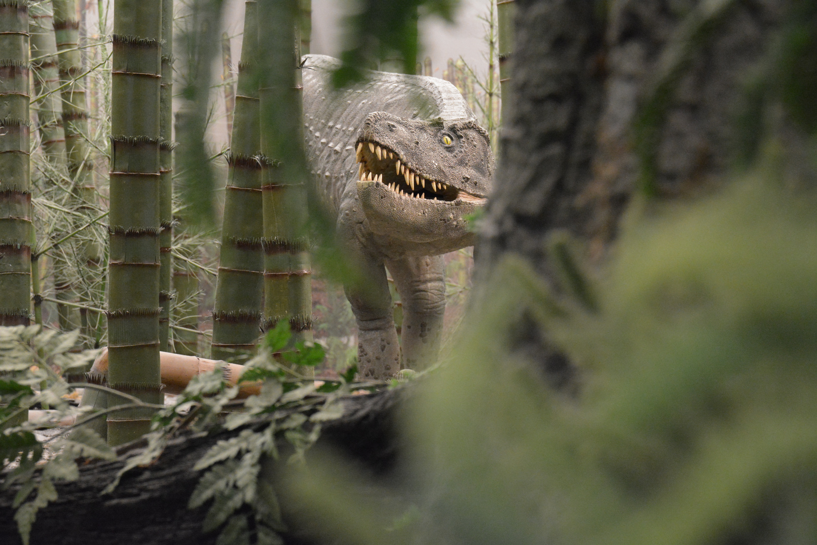 Neulich im Naturkunde-Museum