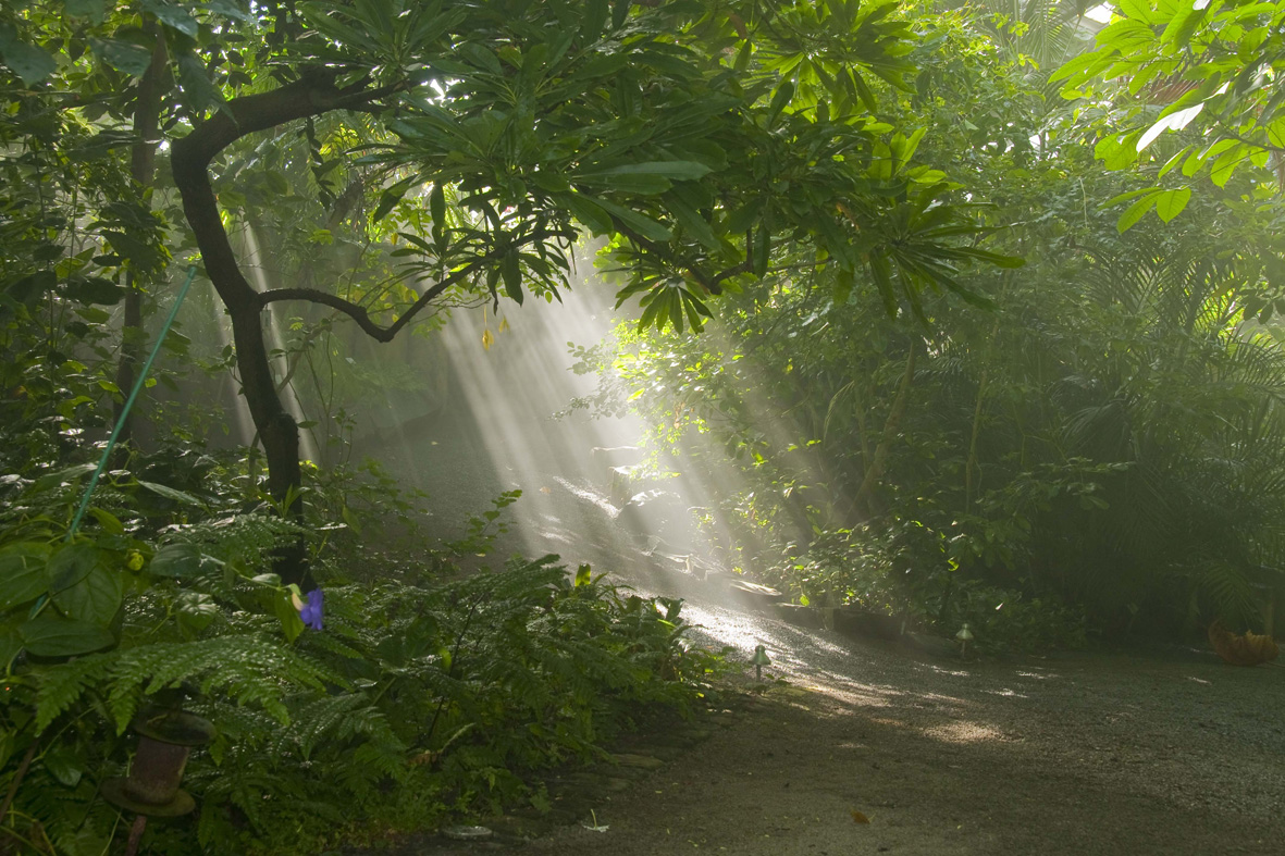 Neulich im oberfränkischen tropischen Regenwald...