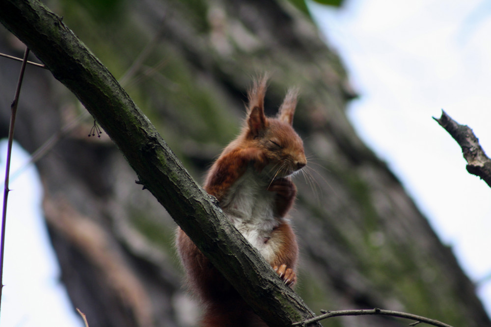 Neulich im Park