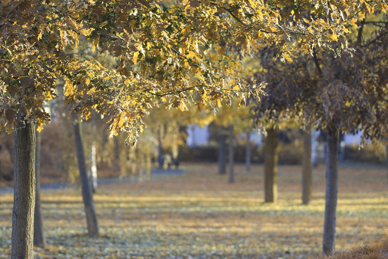 ...neulich im Park