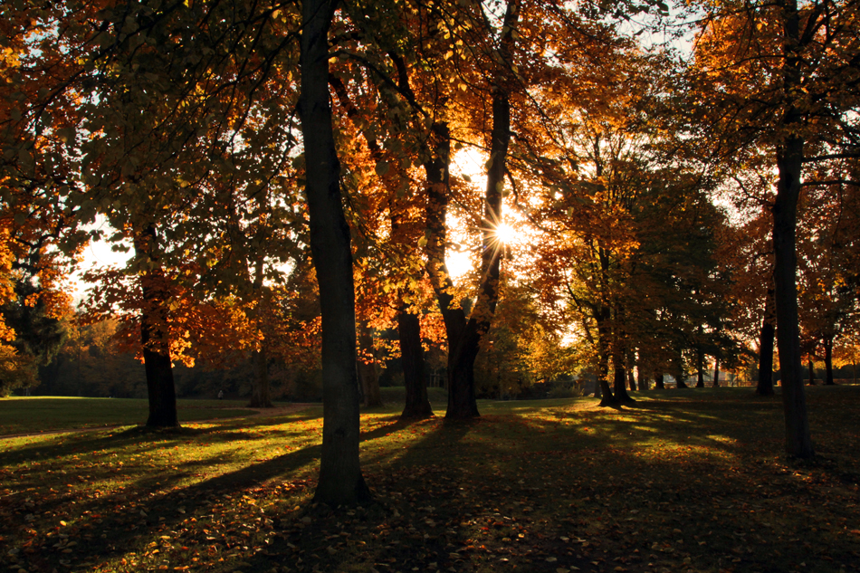 ..neulich im Park..