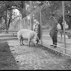 neulich im Park 