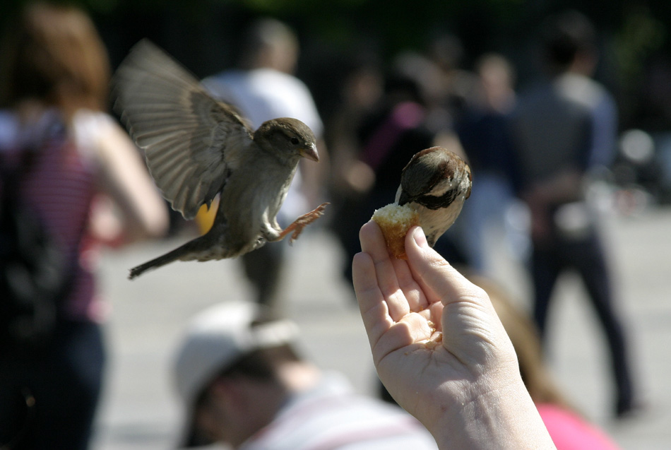 neulich im Park