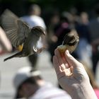 neulich im Park