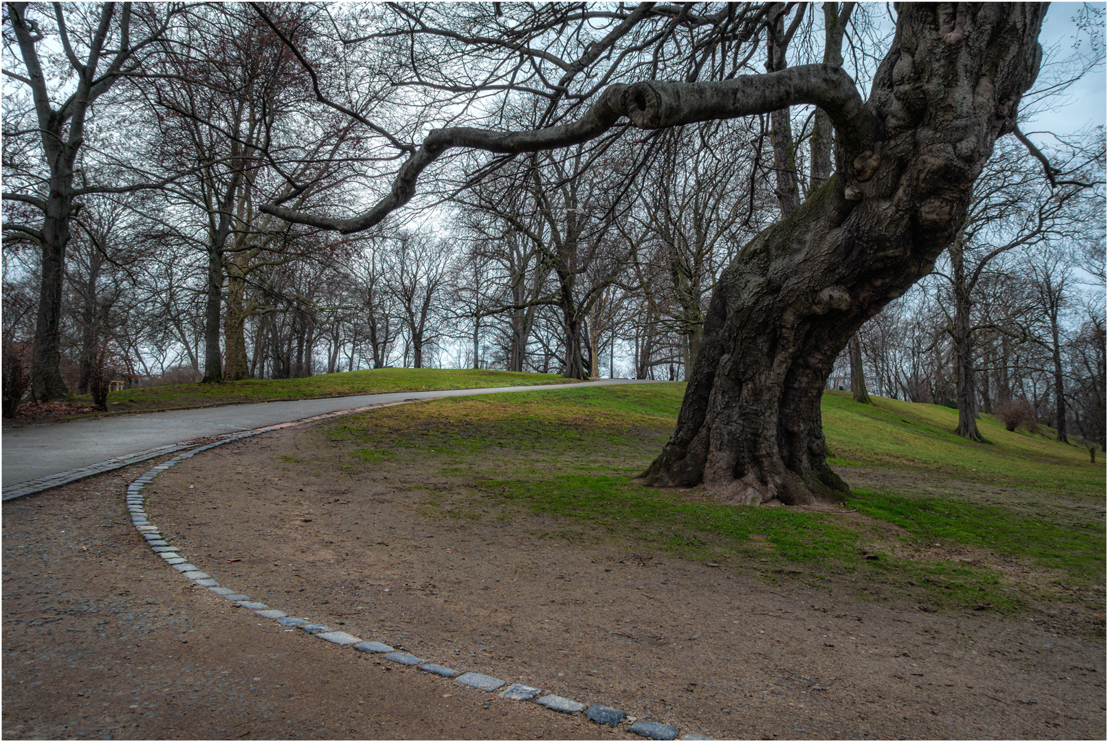 Neulich im Park...