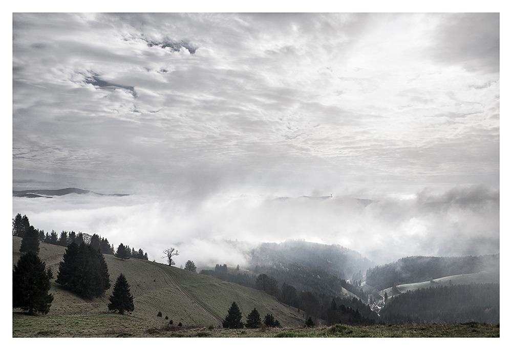 neulich im Schwarzwald