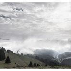 neulich im Schwarzwald