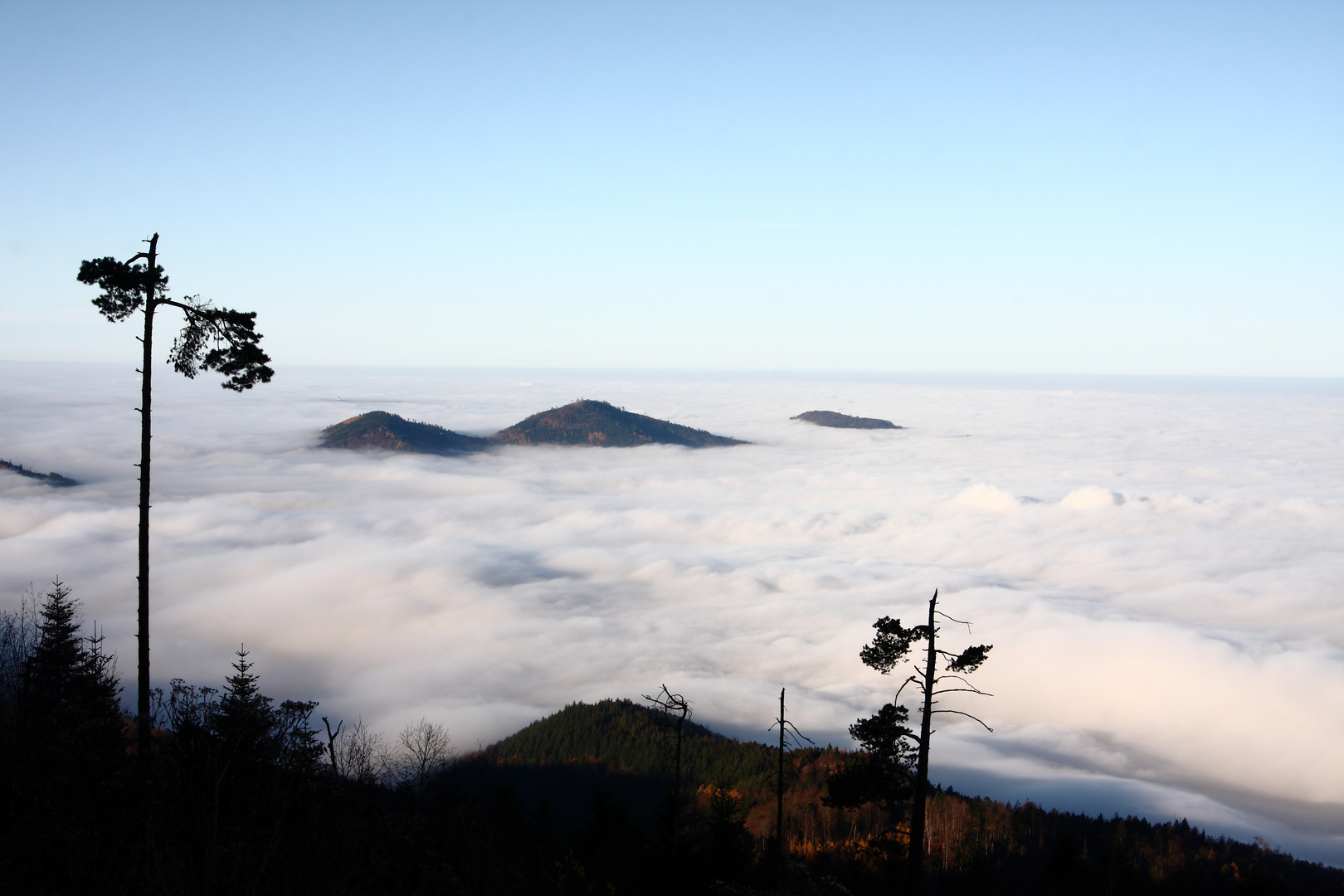 Neulich im Schwarzwald