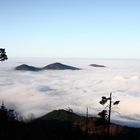 Neulich im Schwarzwald