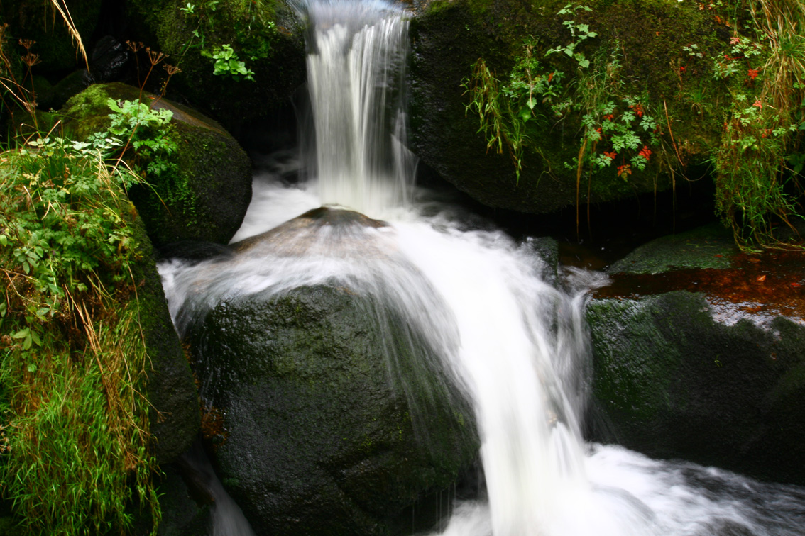 Neulich im Schwarzwald