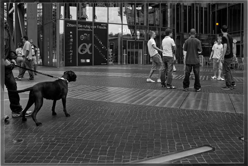 Neulich im Sony-Center