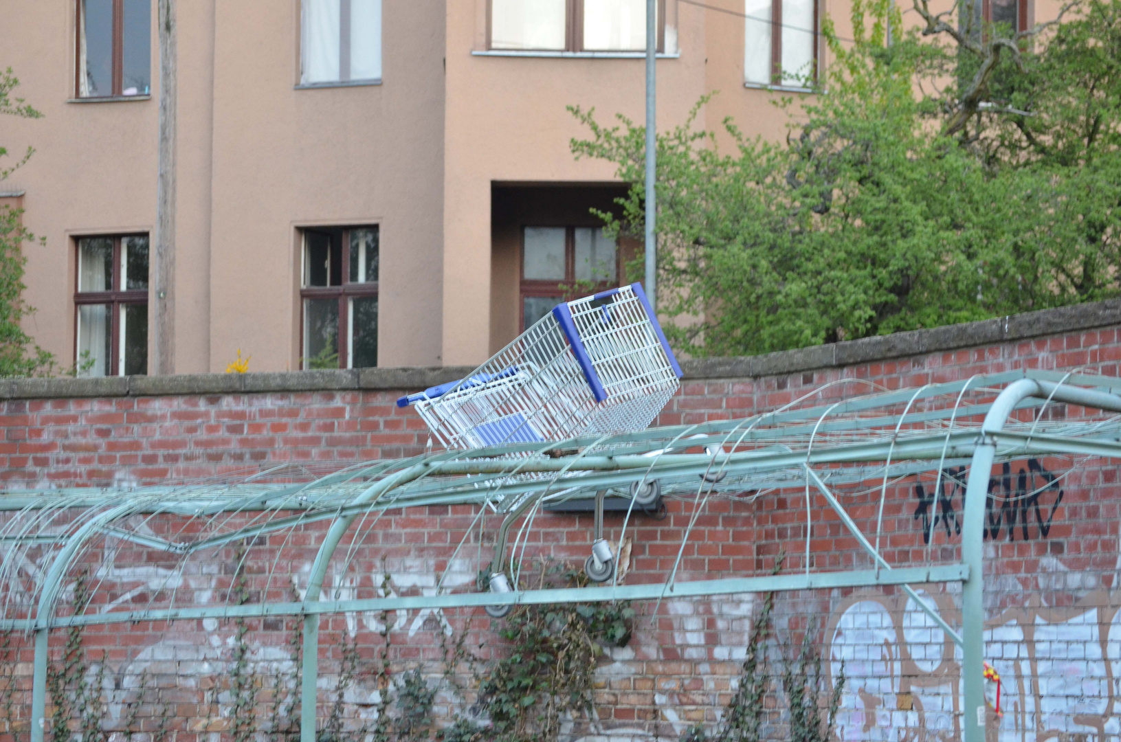 Neulich im Supermarkt ?!?