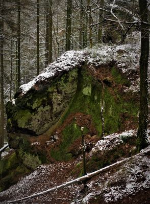 Neulich im Teuto bei Brochterbeck - Es hatte etwas geschneit