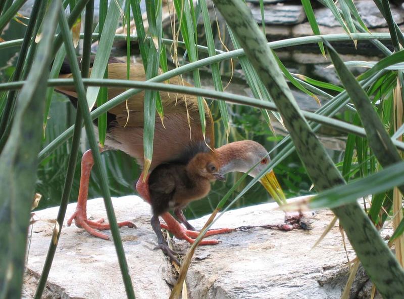 neulich im Tierpark