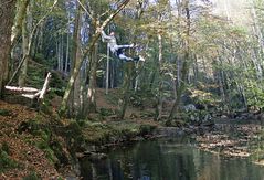 Neulich im Urwald...