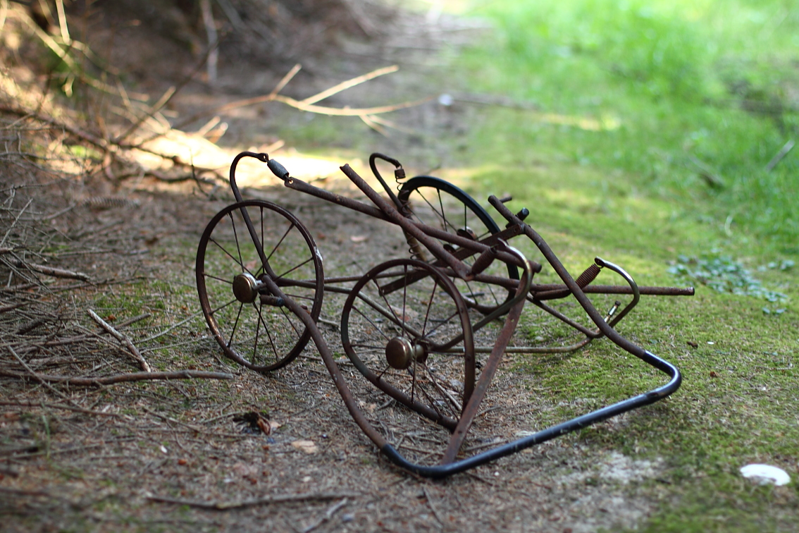 Neulich im Wald