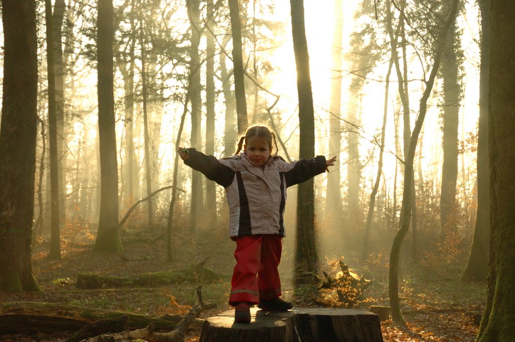 neulich im Wald