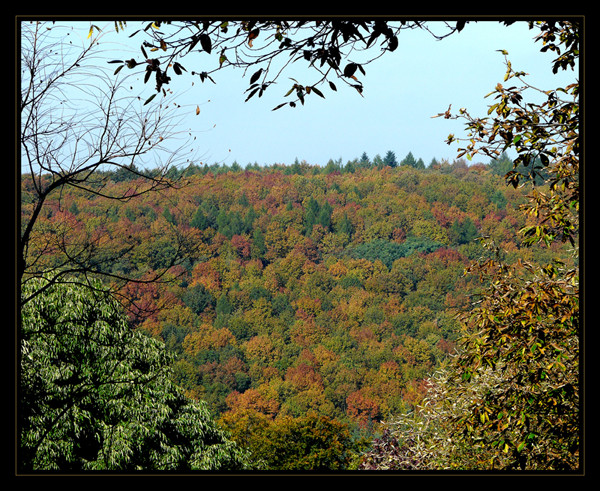 Neulich im Wald