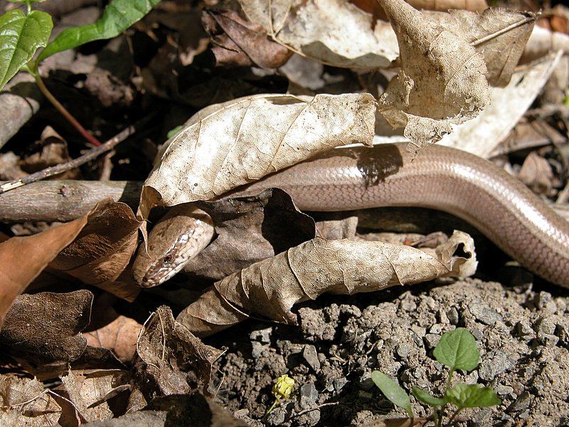 neulich im Wald