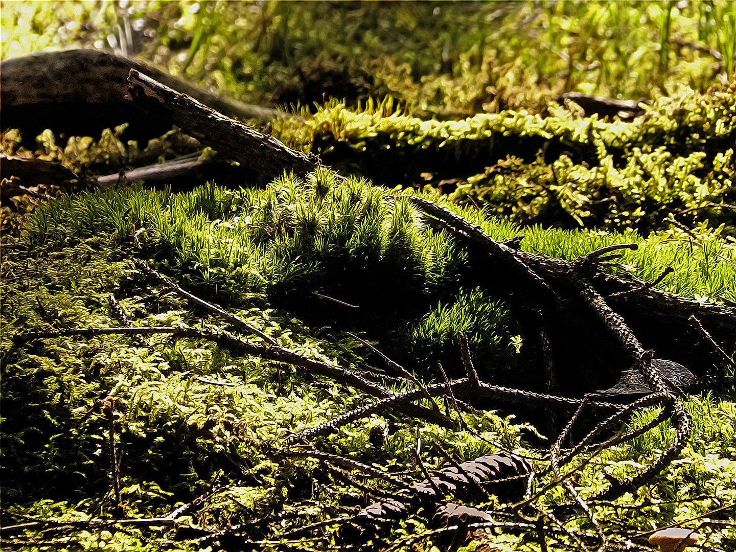 Neulich im Wald...