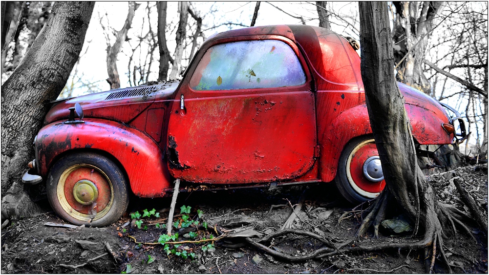 neulich im Wald