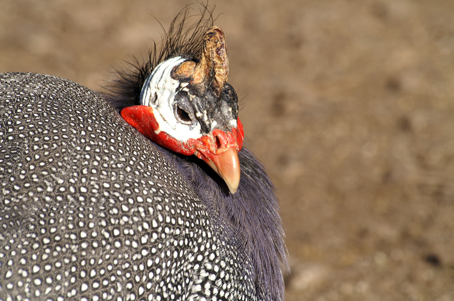 Neulich im Wildpark