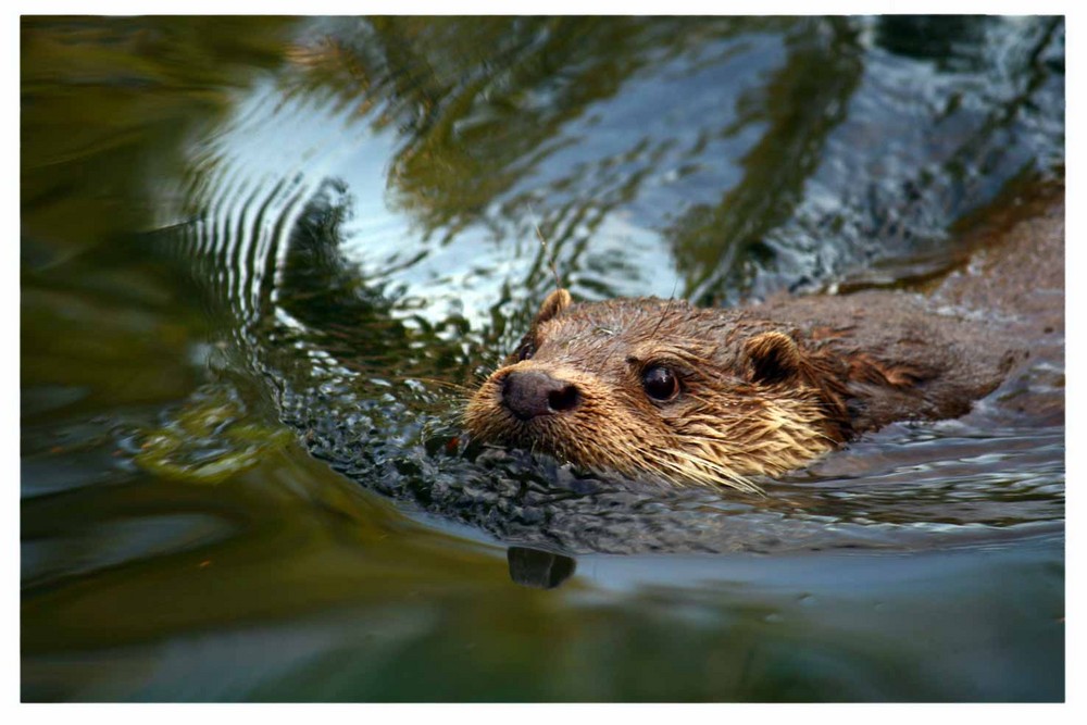 ... neulich im zoo ...