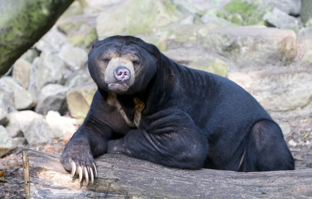 neulich im Zoo 2