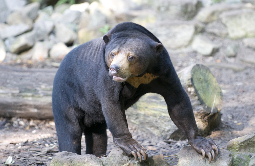 neulich im Zoo 3