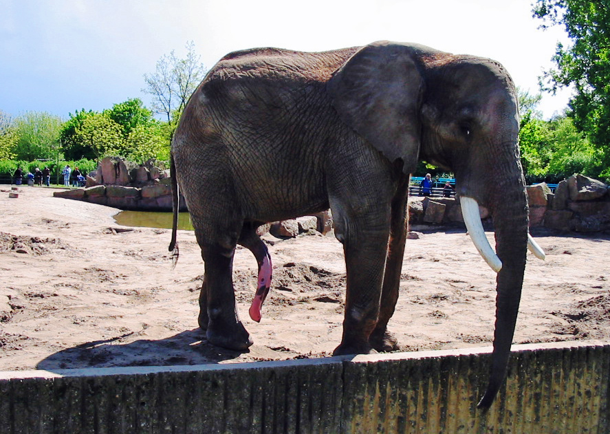 Neulich im Zoo