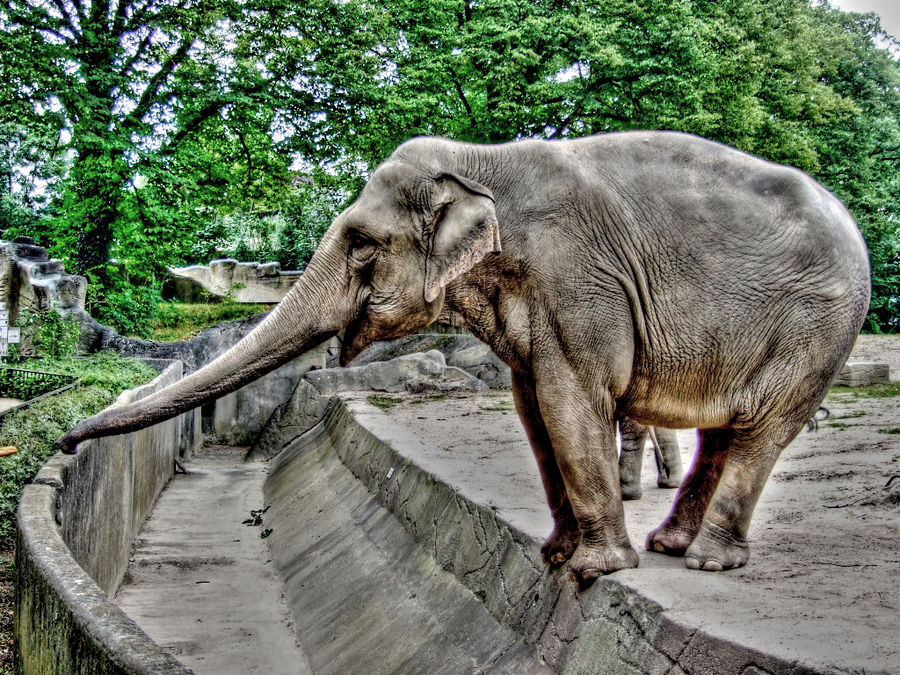 Neulich im Zoo