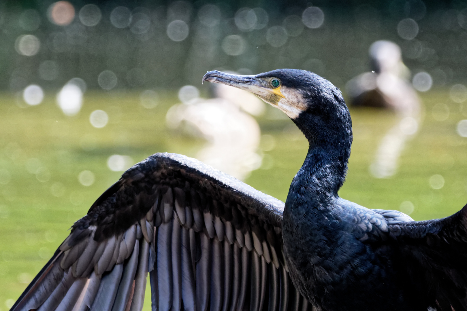 Neulich im Zoo