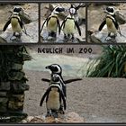 Neulich im Zoo