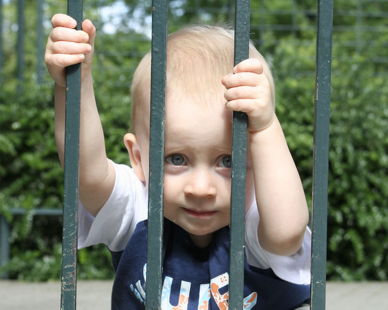 Neulich im Zoo