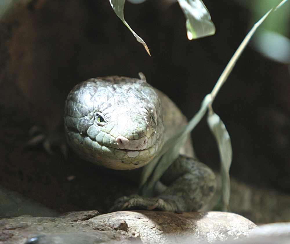 Neulich im Zoo