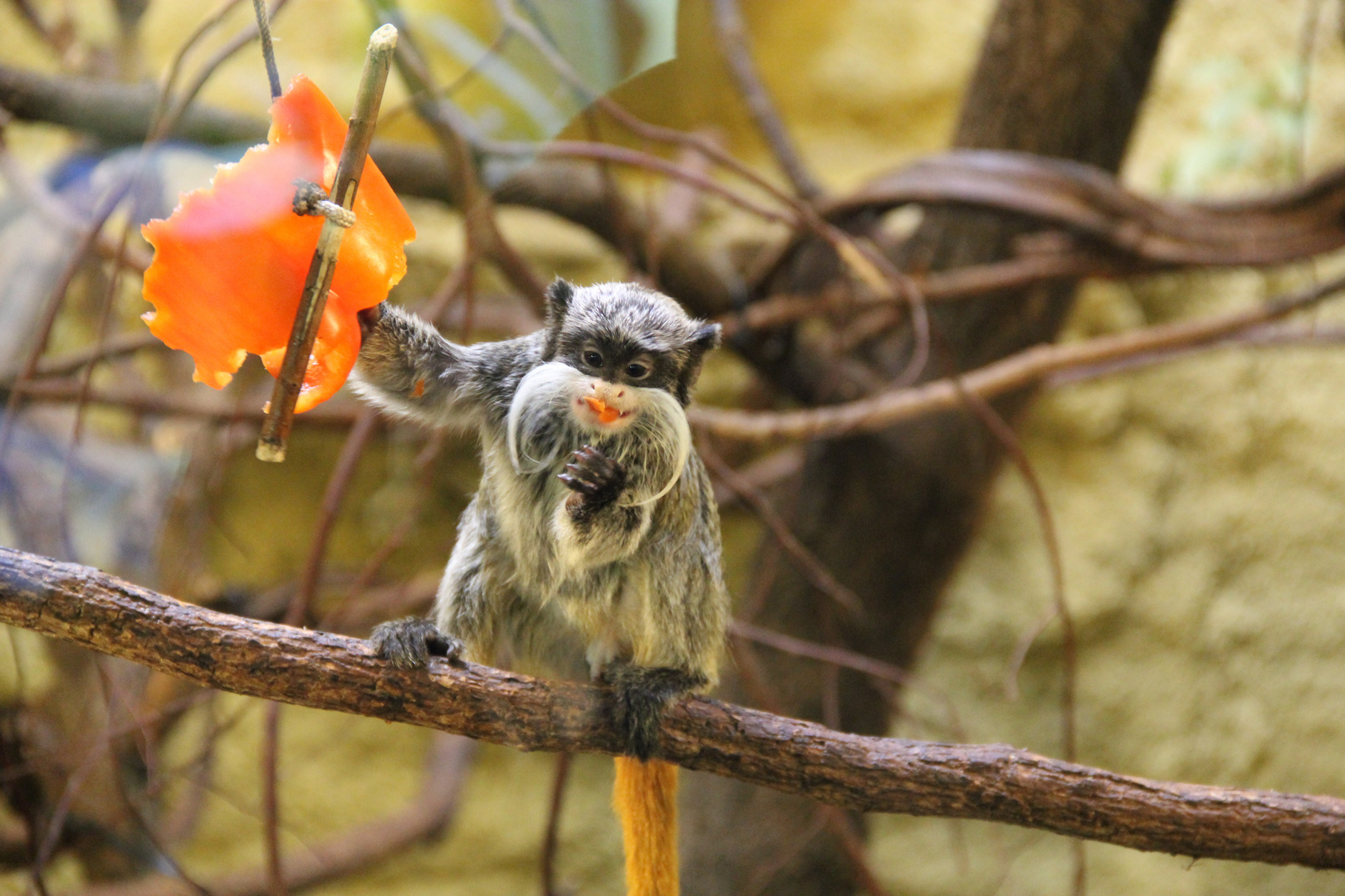 Neulich im Zoo