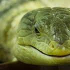 Neulich im Zoo-Geschäft