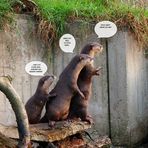 Neulich im Zoo Wuppertal