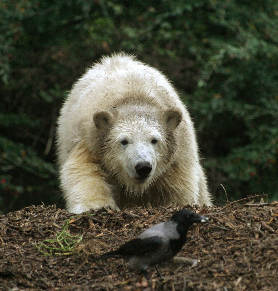 Neulich im Zoo3